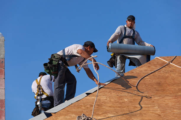 Professional Roofing Contractor in South Lake Tahoe, CA