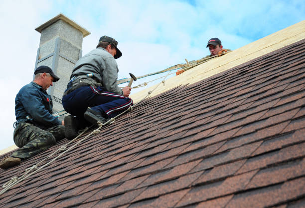 Best New Roof Installation  in South Lake Tahoe, CA